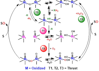 Generic catalytic cycle for RH2 oxidation 