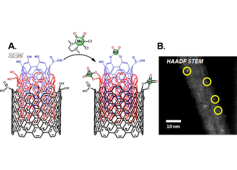 Schematic of (DME)MoO2Cl2 grafting to a multi-wall carbon nanotube and HAADF image