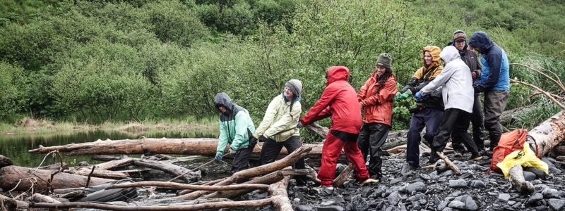 a group of people pulling waste from a water body