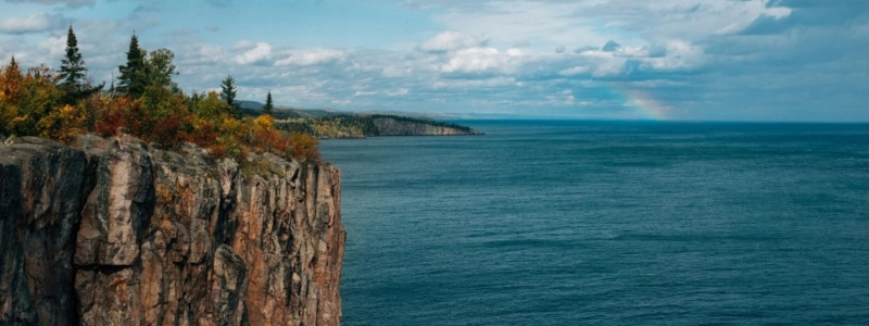 trees on a cliff overlook great lakes