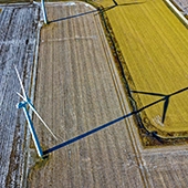 wind turbine on a corn field