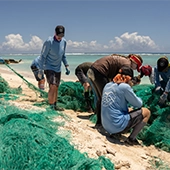 Researchers on beach with nets