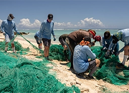 Researchers on the beach with nets