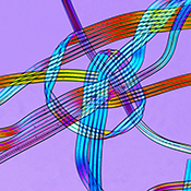 polyurethane fibers under a microscope