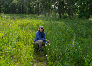 Northwestern Adjunct Professor Andrea Kramer in tall grasses.