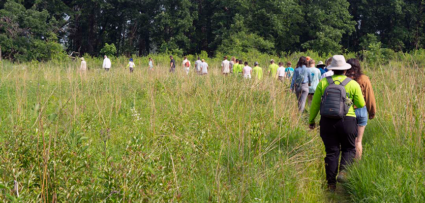 Group walking single file into woods.