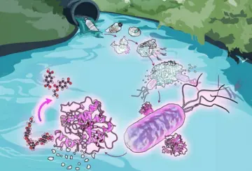 Drawing of plastics floating in a water body